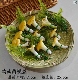 食品 サンプル リアル 見本 撮影 小道具 ディスプレイ 装飾品 フェイク 模擬 食用 キノコ アミガサタケ ポルチーニ