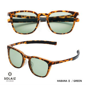 SOLAIZ \CY [SLD-005][DAILY][EGg][HAVANA2 / GREEN]