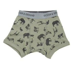 �y�I�[�V�����A���h�O���E���h/�q����/�x�r�[/�L�b�Y/�W���j�A/ocean��ground�z �{�N�T�[�p���cAnimalStamp �I���[�u(OL)