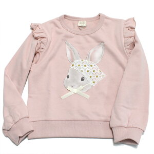 yla poche biscuitzyqzy |VF rXLCzyqǂz ETMtg[i[ sN(PK)