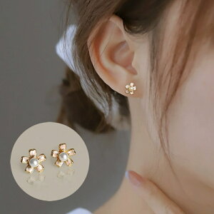 sAX CO  t[ Ԃ sAX   sAX fB[X  l lq Mtg cissylady bsO v[g