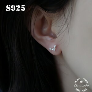 S925 fB[XlCsAX CZ_C V^ v` ~jsAX  Ԃ ZJhsAX EANZT[ Mtg v[g Ȕޏ AM[Ή ςȂ