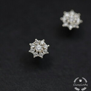 S925 fB[XlCsAX CZ_C V^ v` ~jsAX  Ԃ ZJhsAX EANZT[ Mtg v[g Ȕޏ AM[Ή ςȂ