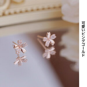 sAX CO   t Sv925 Ԃ AM[Ή ςȂsOS[h Vo[  T ~jsAX ZJhsAX fB[X ANZT[ K18 v[g  