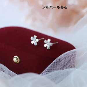 sAX CO   t Sv925 Ԃ AM[Ή ςȂsOS[h Vo[  T ~jsAX ZJhsAX fB[X ANZT[ K18 v[g  