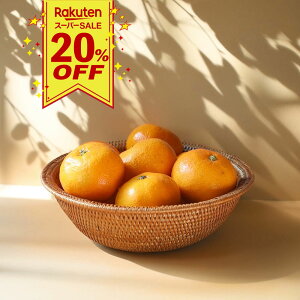 X[p[SALE20OFF݂  oXPbg ܂ {E ҂  nhCh A^ َq  ʕ ؂ o G GXjbN i` ݂ 