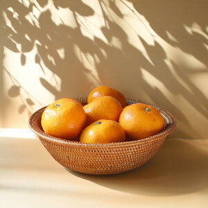 ySALE20OFFN[|z݂  oXPbg ܂ {E ҂  nhCh A^ َq  ʕ ؂ o G GXjbN i` ݂  