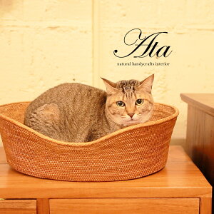 L Lxbh xbg E߂ }`  m A^ ҂݂ 傫Ȃ nhCh o G AWA GXjbN i` Jg[  ][