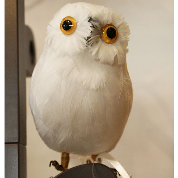 楽天市場 プエブコ Puebco Artificial Birds バードオブジェwhite Owl白フクロウsサイズ正面向き Citron Glaces