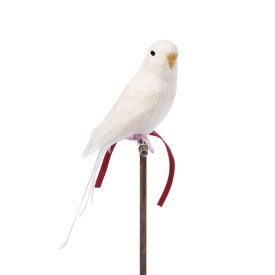 あす楽 バードオブジェ 鳥 リアル 本物 飾り物 ハロウィン 剥製みたい 置物 白い鳥 ホワイトインコ Budgie セキセイインコ・ホワイト /プエブコ PUEBCO ARTIFICIAL BIRDS 126074