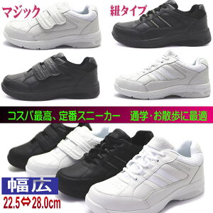 jp }WbNe[v RC ʊw sy s VvȃXj[J[ hr0203-0103