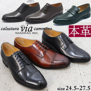 [ }hXА via cammino BAJ~[m Y {v U[ rWlXV[Y 傫TCY 28cm 28.5cm 29cm XXg[g`bv v[gD VC8044 8045 8046 8048