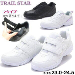 fB[X wl Xj[J[ }WbNe[v RC C zCgXj[J[ ^ No.2183 No.2184