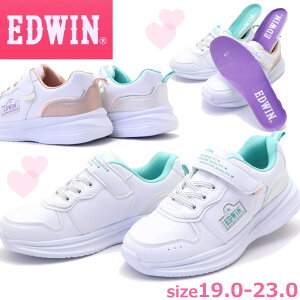 LbY WjA Xj[J[ EDWIN GhEB K[Y ʊw No.3629