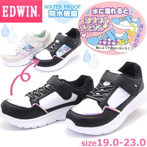 LbY WjA Xj[J[ EDWIN GhEB h Jt`FW K[Y ʊw No.3673