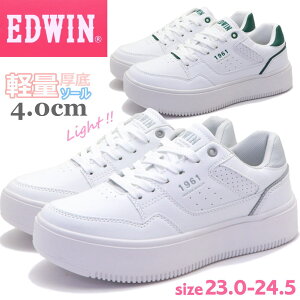 fB[X Xj[J[  EDWIN GhEB y zCg\[ JWA No.4317