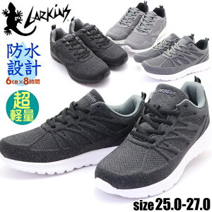 ���[ �h�� �X�j�[�J�[ �����Y ���[�L���X(LARKINS) ���y�� �R�C ���[�X�A�b�vL-686 L-680