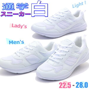 [ u3EvL@Xj[J[ Y fB[X y Vv ʊw s No1145 5145