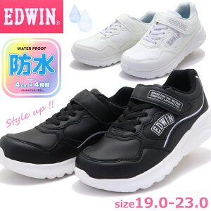 LbY WjA Xj[J[ EDWIN GhEB h K[Y ʊw No.3675