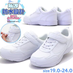 C ʊw h zCgXj[J[ Xj[J[ LbY WjA R-SPEED }WbNe[v No.375