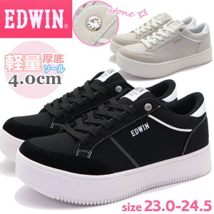 fB[X Xj[J[  EDWIN GhEB y zCg\[ JWA No.4325