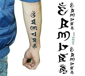 ^gD[V[yzhhŒI{ fUC 3D  o ^gD[V[ 傫TCY ([֔z) tatoo n {fBV[ {fByCg hV[ ؍ r  