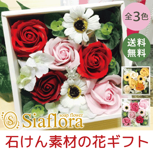 ΂̂ AW siaflora VAt[S3F [{bNXAW()] { \[vt[ V{ht[ vU[uht[ ̓ a җj v[g t