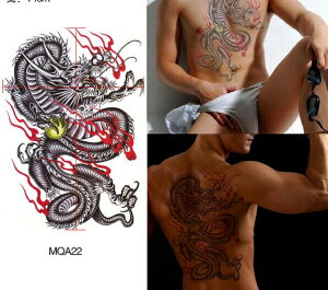 ^gD[V[ytt-314zhhŒI{ fUC 3D  o ^gD[V[ 傫TCY ([֔z) tatoo n {fBV[ {fByCg hV[ ؍ r  