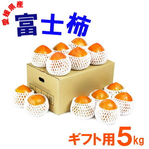 QY xm` 蕨p 5kg 11~14 ʕ t[c  Yn