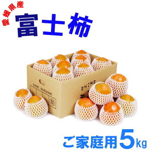 QY xm` ƒp 5kg 15~18 ʕ t[c  Yn