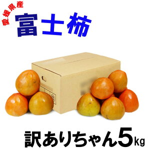 QY xm`󂠂肿 5kg 10`14 ʕ t[c  Yn