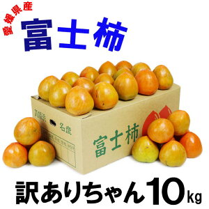 QY xm` 󂠂肿 10kg 20`28 ʕ t[c  Yn