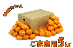 QY B݂ Q݂ ƒp 5kg 50`60 S/M/LTCY ʕ t[c  Yn p ƒp p