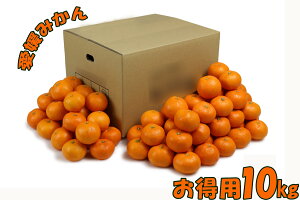 QY B݂ Q݂ ƒp 10kg 100`120 S/M/LTCY ʕ t[c  Yn p ƒp p