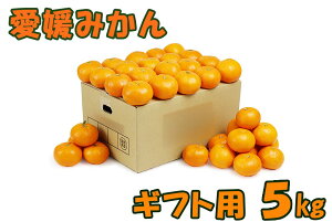 QY B݂ Q݂ 蕨p 5kg 45~50 ʕ t[c  Yn Mtgp p v[gp