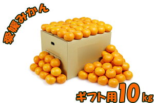 QY B݂ Q݂ 蕨p 10kg 90`100 ʕ t[c  Yn Mtgp p v[gp