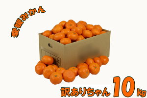 QY B݂ Q݂ 󂠂肿 10kg TCYs ʕ t[c  Yn 󂠂 󂠂肿 LY 