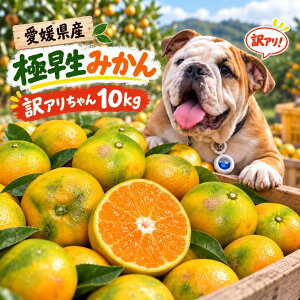 ���Q���Y �ɑ����݂��� �󂠂肿��� 10kg