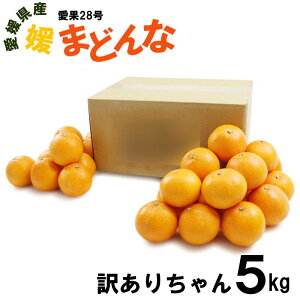 QY Q܂ǂ 󂠂肿 5kg18`25 ʕ t[c  Yn  p 28