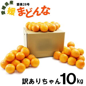 QY Q܂ǂ 󂠂肿 10kg36`50 ʕ t[c  Yn  p 28