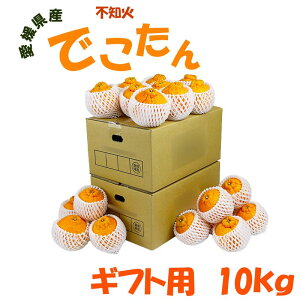 ���Q���Y �ł����� �s�m�΁i����ʂ��j�f�R���� ���蕨�p 10kg 28�`36�� 2L/3L�T�C�Y �ʕ� �t���[�c ������ �Y�n���� �M�t�g�p �����p �v���[���g�p