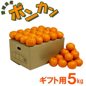 ���Q���Y �|���J�� ���蕨�p 5kg 35�`44�ʁ@L/2L�T�C�Y�@ �ʕ� �t���[�c ������ �Y�n���� �M�t�g�p �����p