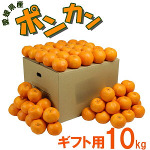 ���Q���Y �|���J�� ���蕨�p 10kg 70~80�ʁ@L/2L�T�C�Y�@ �ʕ� �t���[�c ������ �Y�n���� �M�t�g�p �����p