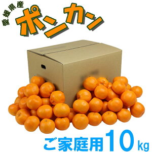 ���Q���Y �|���J�� ���ƒ�p �����p 10kg 90�`110�ʁ@S/M�T�C�Y �ʕ� �t���[�c ������ �Y�n���� �����p �����p �Ƒ��݂���