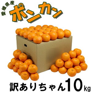 ���Q���Y �|���J�� �󂠂肿��� 10kg �ʕ� �t���[�c ������ �Y�n���� ���� �󂠂� �� �L�Y���芹�k