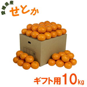 ���Q���Y ���Ƃ� 10kg �M�t�g�p �����p ��30~44�� 2L/3L�T�C�Y