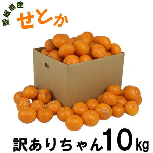 ���Q���Y ���Ƃ� �󂠂肿��� 10kg ������p �󂠂� �L�Y�L��