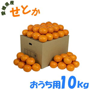 ���Q���Y ���Ƃ� �������p 10kg ���� ���ƒ�p ��55�`60�� M/L�T�C�Y