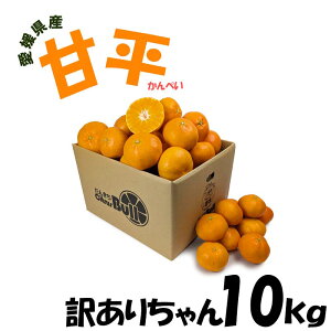 ���Q���Y �Õ��i����؂��j �󂠂肿��� 10kg �ʐ��E�T�C�Y�s�����@�T�C�Y �ʕ� �t���[�c ������ �Y�n���� ���� ���Ƒ��p