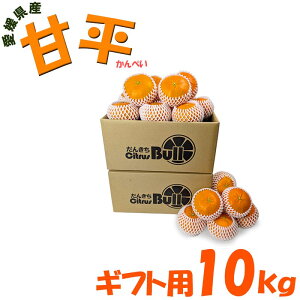 ���Q���Y �Õ��i����؂��j ���蕨�p 10kg 30�`45�� 3L/4L�T�C�Y �ʕ� �t���[�c ������ �Y�n���� �M�t�g�p �����p �v���[���g�p